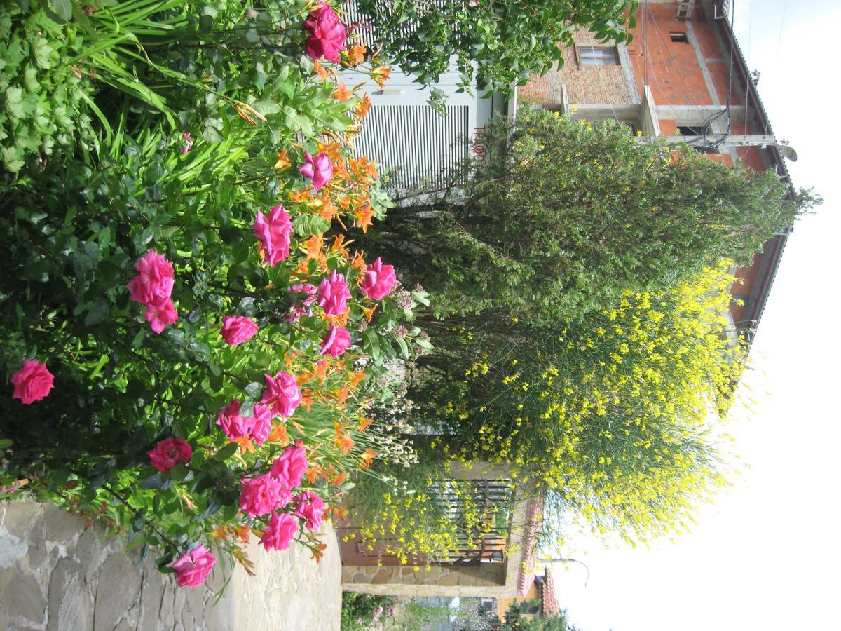 Chateau Aheloy Hotel Pomorie Luaran gambar